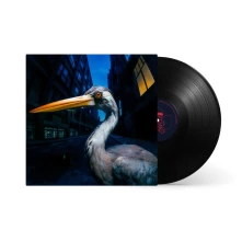 Vinyl DECODING BIRDSONG