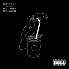 Catfish And The Bottlemen, Vinyl THE BALANCE