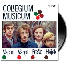 Vinyl Collegium Musicum