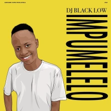 Vinyl DJ Black Low - Impumelelo