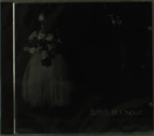 CD BLUEPRINTS FOR A BLACKOUT