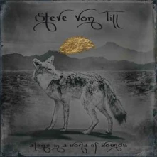 Vinyl ALONE IN A WORLD OF WOUNDS