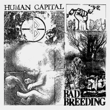 CD HUMAN CAPITAL