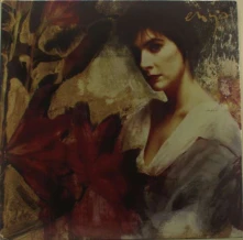 Enya, Vinyl WATERMARK