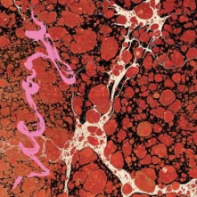 CD BEYONDLESS