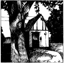 Vinyl COTTAGE SONGS