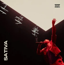 CD Sativa