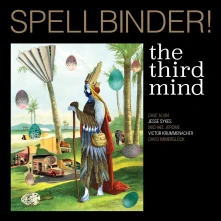 Vinyl SPELLBINDER!