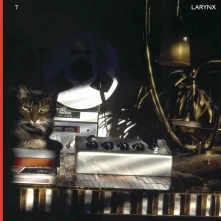 Vinyl Lary 7 - Larynx