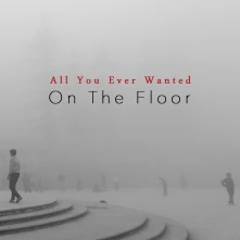 CD ALL YOU EVER WANTED