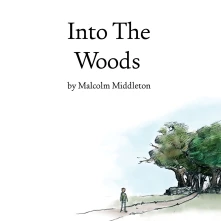 Malcolm Middleton, Vinyl INTO THE WOODS