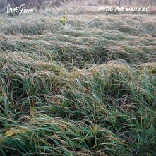 Steve Gunn, Vinyl MUSIC FOR WRITERS