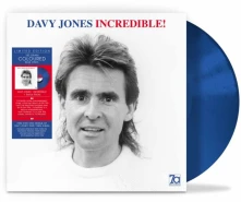 Davy Jones, Vinyl INCREDIBLE!
