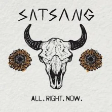 Vinyl ALL. RIGHT. NOW.