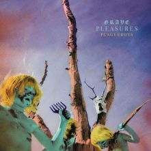 Vinyl Plagueboys