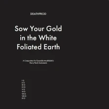 Vinyl SOW YOUR GOLD IN THE W...