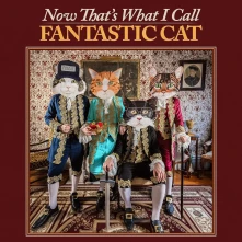 Vinyl NOW THAT'S WHAT I CALL FANTASTIC CAT