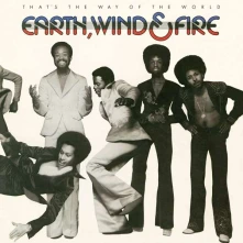Vinyl THAT'S THE WAY OF THE WORLD