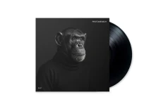 Vinyl PROTOMENSCH