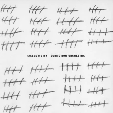 Submotion Orchestra, Vinyl PASSED ME BY