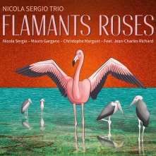 CD FLAMANTS ROSES