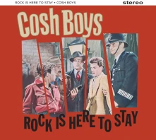 CD ROCK'N'ROLL IS HERE TO...