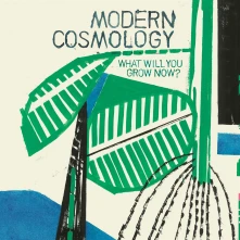 CD MODERN COSMOLOGY - WHAT WILL YOU GROW NOW?