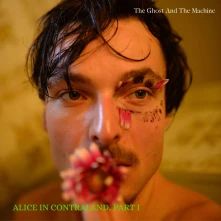 Vinyl ALICE IN CONTRALAND PA...