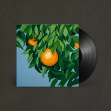 Vinyl FOR THE FIRST TIME, AGAIN