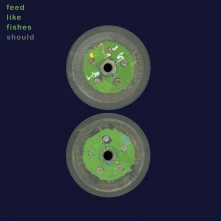 CD FEED LIKE FISHES