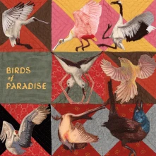 Vinyl BIRDS OF PARADISE