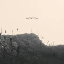 Vinyl Albinobrothers - Goliath Awakes