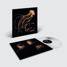 Vinyl BACK TO THE WATER BELOW (INDIE)