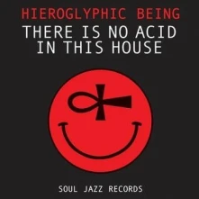 Vinyl THERE IS NO ACID IN THIS HOUSE