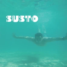 Vinyl SUSTO