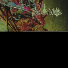 Vinyl Mosquito (Re-Issue 2024)
