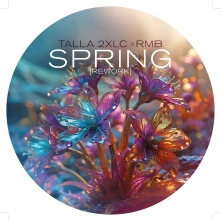 Vinyl SPRING