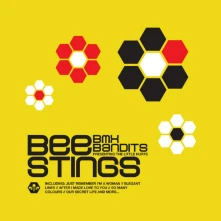 Vinyl BEE STINGS
