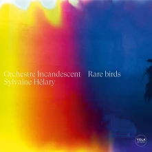 CD RARE BIRDS