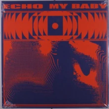 Vinyl ECHO