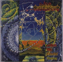 Vinyl Dark Millenium - (Black)Ashore the Celestial Burden