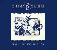 CD FLAUNT THE IMPERFECTION
