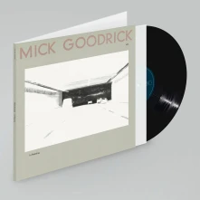 Vinyl IN PAS(S)ING