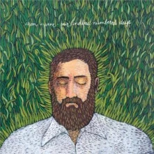 Iron & Wine, Vinyl OUR ENDLESS NUMBERED DAYS
