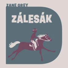 David Matásek, CD Zálesák