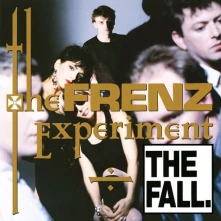 CD FRENZ EXPERIMENT