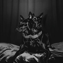 NTO, Vinyl SOFIANE PAMART - FOREVER FRIENDS