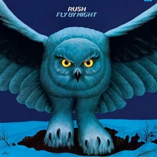 Vinyl Fly By Night
