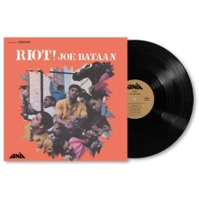 Vinyl RIOT!