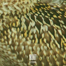 CD KIRIKUUT